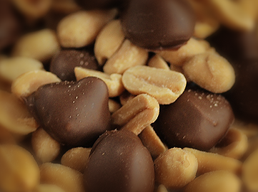 Sugar Free Milk Chocolate Covered Peanuts