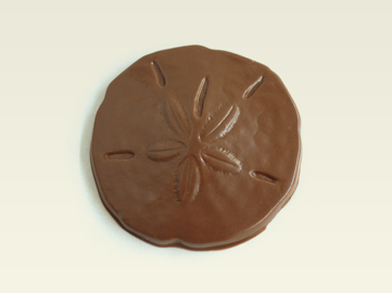 Sand Dollar
